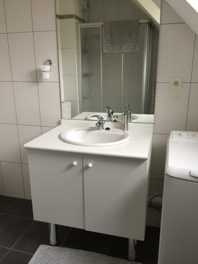 Ferienwohnung Les Menetriers Ribeauvillé Exterior foto