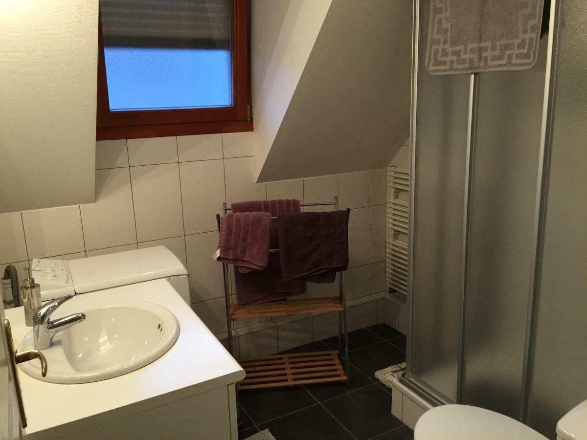 Ferienwohnung Les Menetriers Ribeauvillé Exterior foto